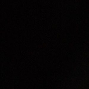 Meet your Posher, Daisy